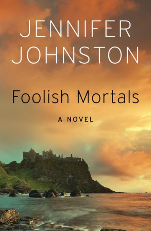 Cover of the book Foolish Mortals by Jennifer Johnston, Open Road Media