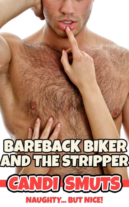 Cover of the book Bareback Biker And The Stripper by Candi Smuts, Candi Smuts