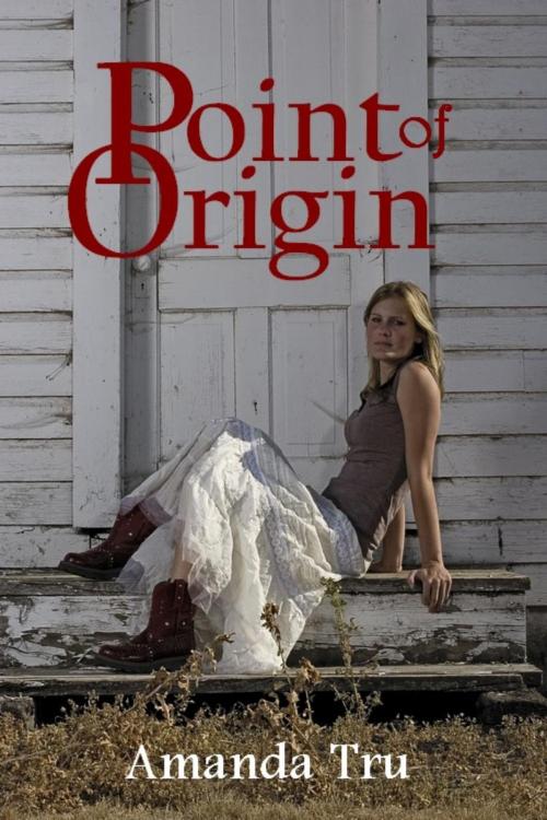 Cover of the book Point of Origin by Amanda Tru, Amanda Tru