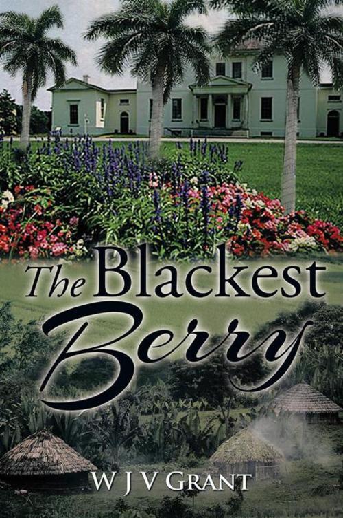 Cover of the book The Blackest Berry by W J V Grant, Xlibris UK