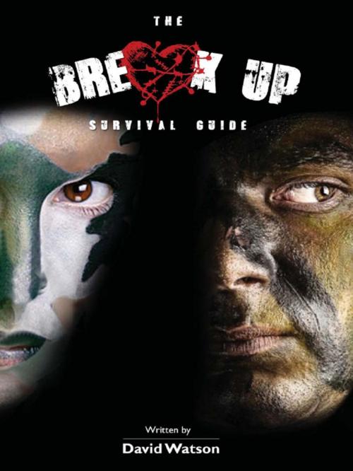 Cover of the book Break Up Survival Guide by David Watson, David Watson