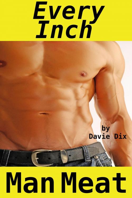 Cover of the book Every Inch, Man Meat (Gay Erotica) by Davie Dix, Tales of Flesh Press