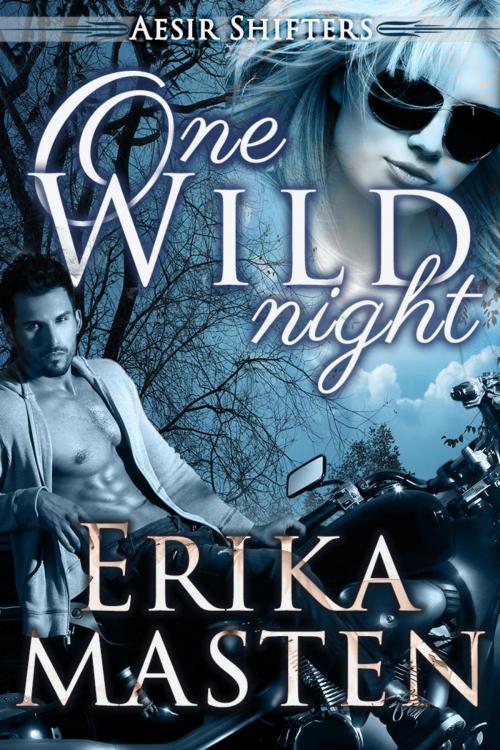 Cover of the book One Wild Night by Erika Masten, Sticky Sweet Books