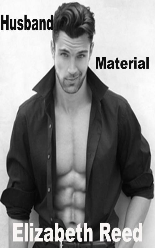 Cover of the book Husband Material by Elizabeth Reed, Lori Books