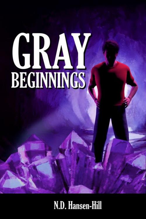 Cover of the book Gray Beginnings by N.D. Hansen-Hill, Double Dragon Publishing