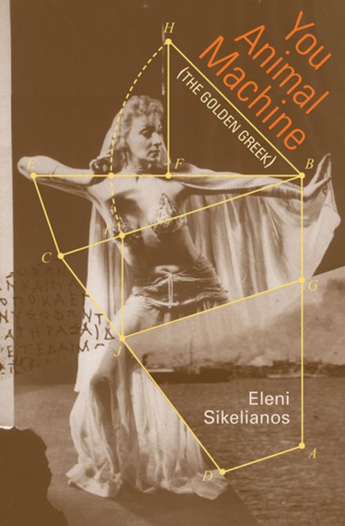 Cover of the book You Animal Machine by Eleni Sikelianos, Coffee House Press