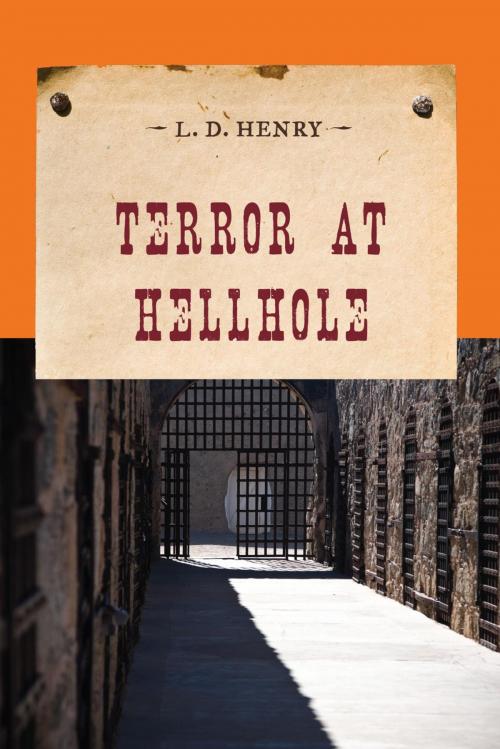Cover of the book Terror at Hellhole by L. D. Henry, M. Evans & Company