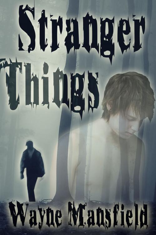 Cover of the book Stranger Things by Wayne Mansfield, JMS Books LLC