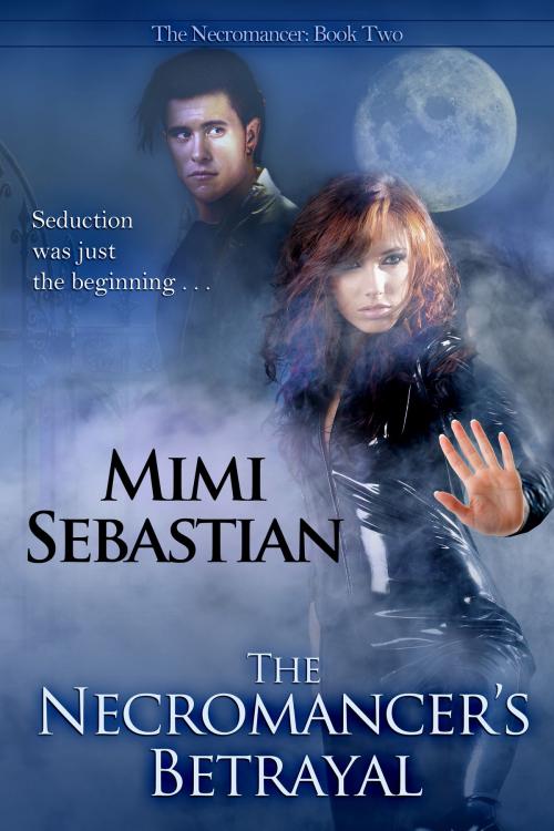 Cover of the book The Necromancer's Betrayal by Mimi Sebastian, BelleBooks Inc.