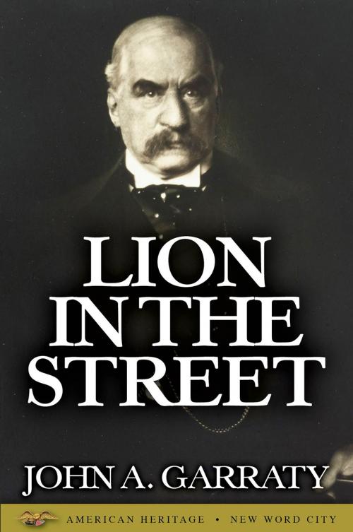 Cover of the book Lion in the Street by John A. Garraty, New Word City, Inc.