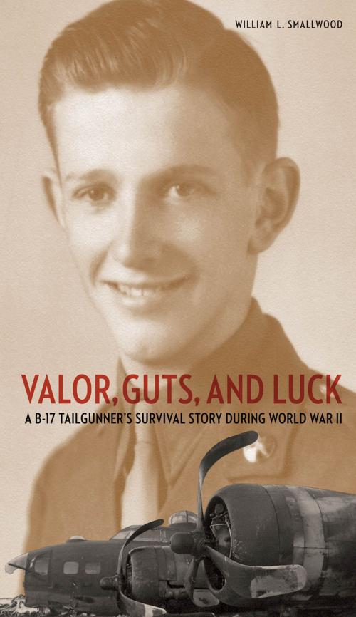 Cover of the book Valor, Guts, and Luck by William L. Smallwood, Potomac Books Inc.