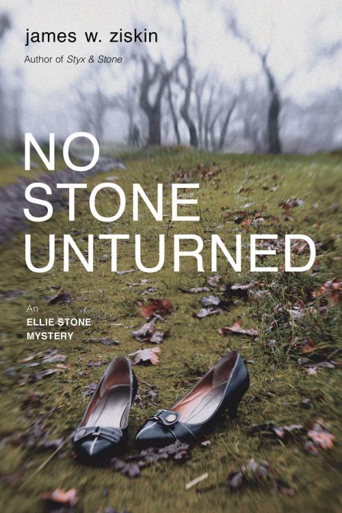 Cover of the book No Stone Unturned by James W. Ziskin, Seventh Street Books