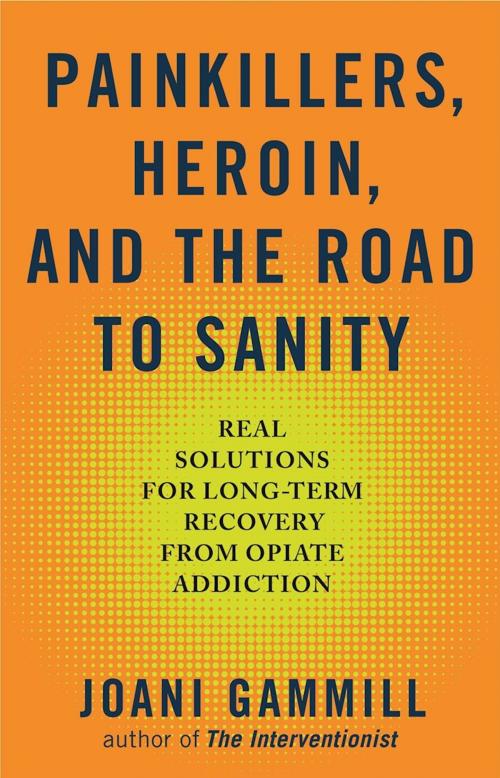 Cover of the book Painkillers, Heroin, and the Road to Sanity by Joani Gammill, BRII, Hazelden Publishing