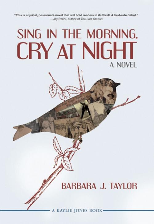 Cover of the book Sing in the Morning, Cry at Night by Barbara J. Taylor, Akashic Books