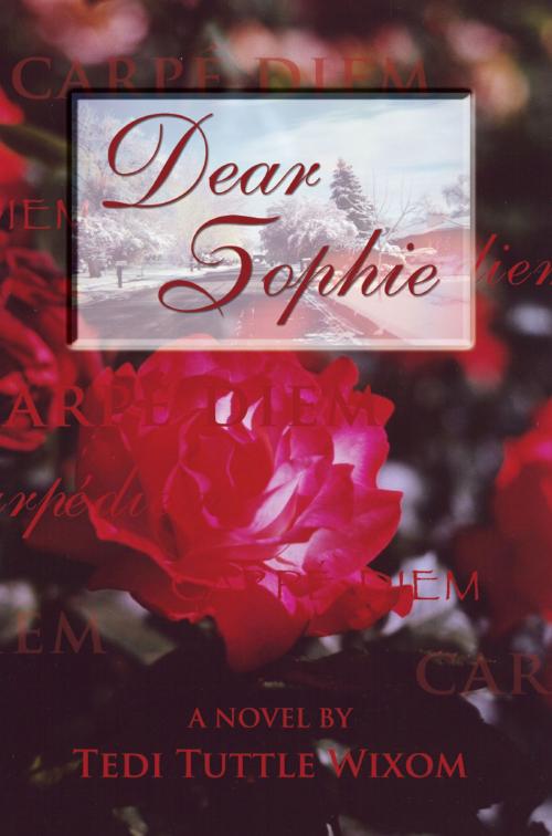 Cover of the book Dear Sophie by Tedi Tuttle Wixom, Good heart Press