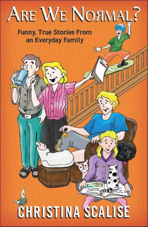 Cover of the book Are We Normal? “Funny, True Stories From an Everyday Family” by Christina Scalise, Brighton Publishing LLC