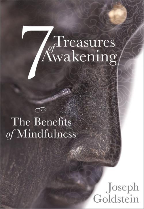 Cover of the book 7 Treasures of Awakening by Joseph Goldstein, Sounds True