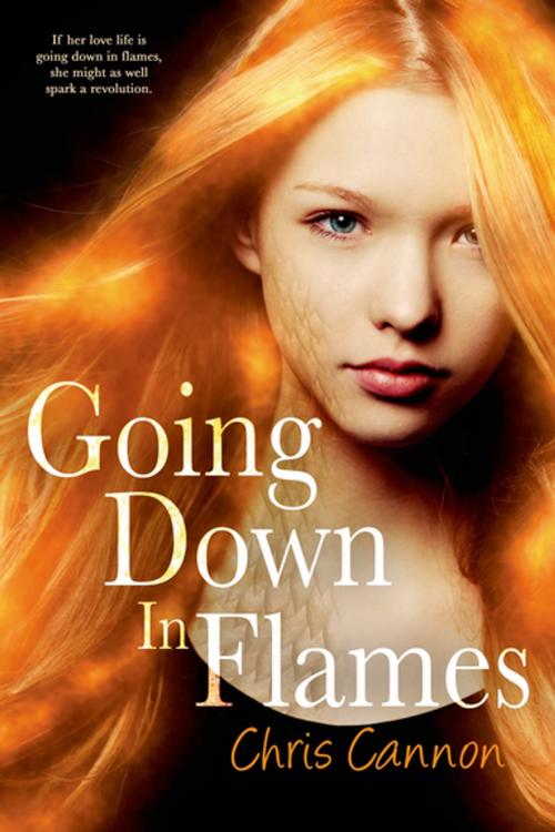 Cover of the book Going Down in Flames by Chris Cannon, Entangled Publishing, LLC