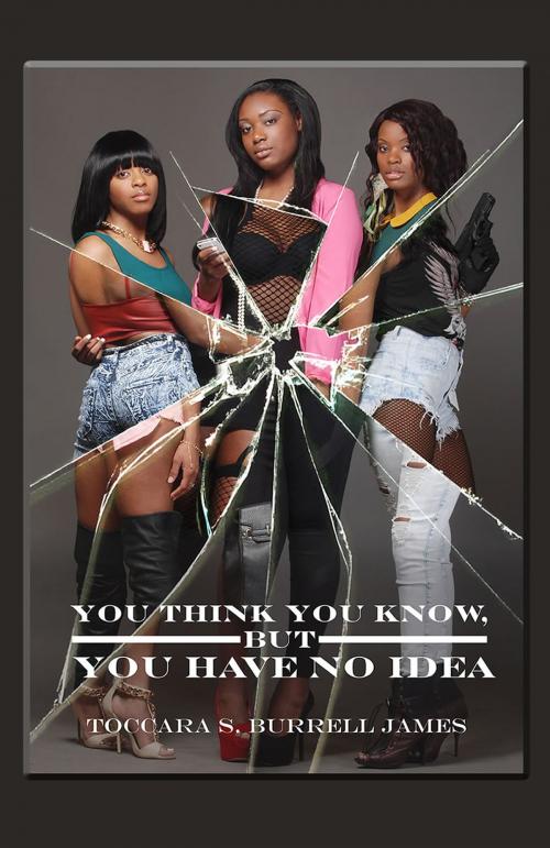 Cover of the book You Think You Know, But You Have No Idea by Toccara S. Burrell-James, First Edition Design Publishing