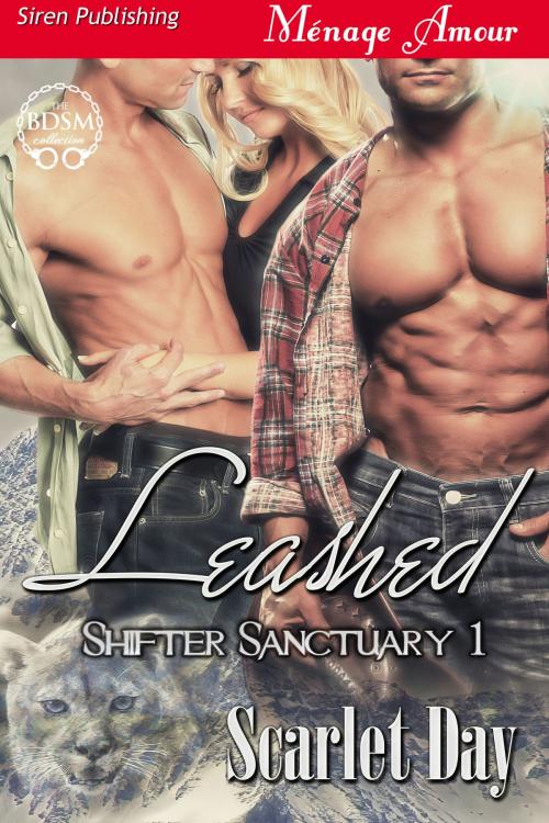 Cover of the book Leashed by Scarlet Day, Siren-BookStrand