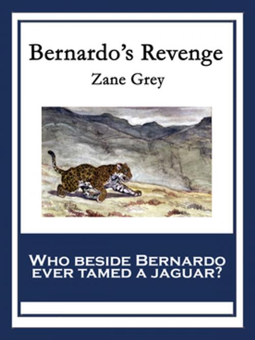 Cover of the book Bernardo's Revenge by Zane Grey, Wilder Publications, Inc.