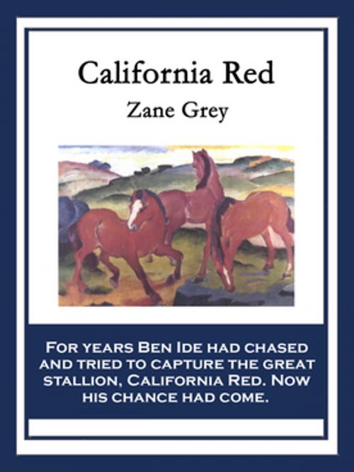 Cover of the book California Red by Zane Grey, Wilder Publications, Inc.