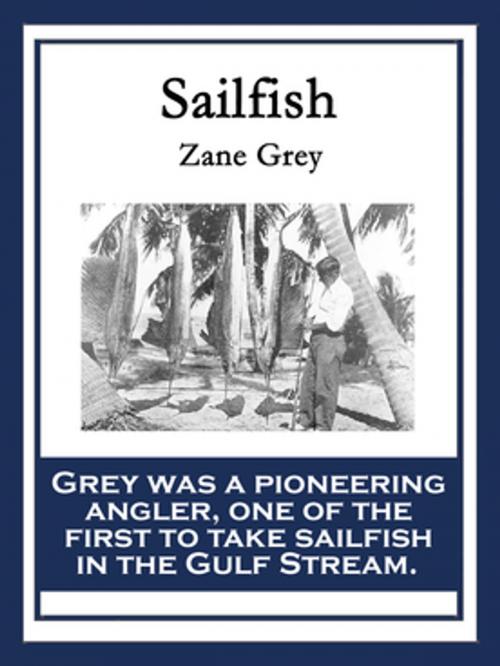 Cover of the book Sailfish by Zane Grey, Wilder Publications, Inc.