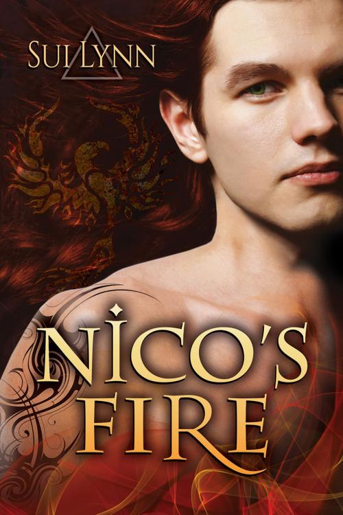 Cover of the book Nico's Fire by Sui Lynn, Dreamspinner Press