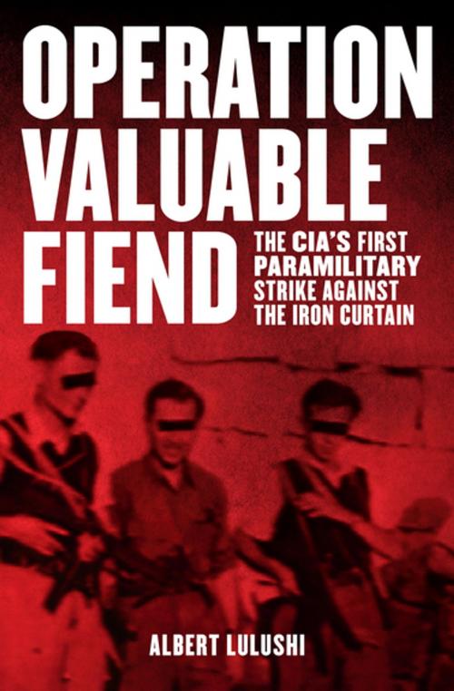 Cover of the book Operation Valuable Fiend by Albert Lulushi, Skyhorse Publishing