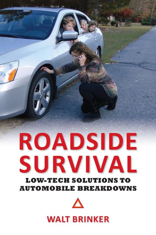 Cover of the book Roadside Survival by Walter Evans Brinker, Walter E. Brinker, Jr.