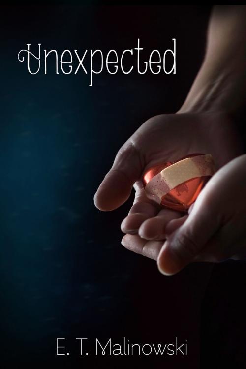 Cover of the book Unexpected by E.T. Malinowski, Dreamspinner Press
