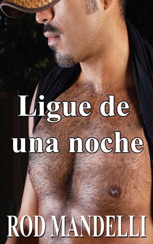 Cover of the book Ligue de una noche by Rod Mandelli, Gayrotica Press