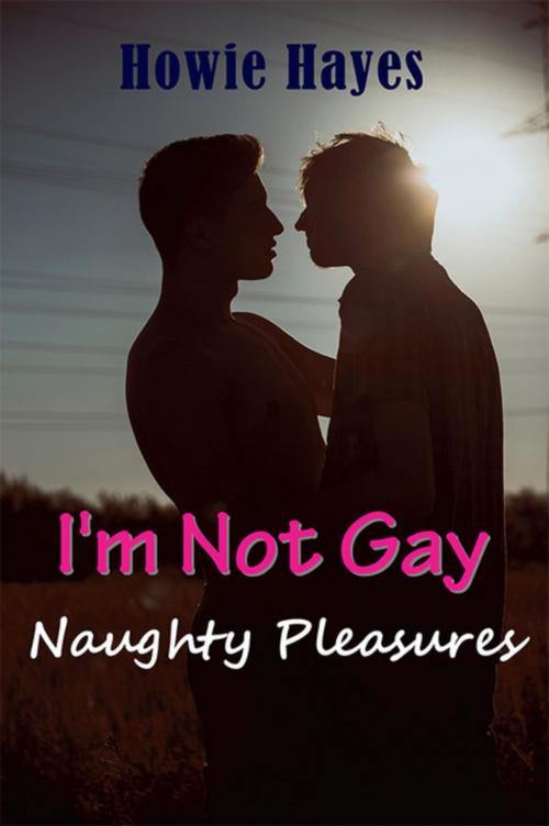 Cover of the book I'm Not Gay by Howie Hayes, Mojo Enterprises