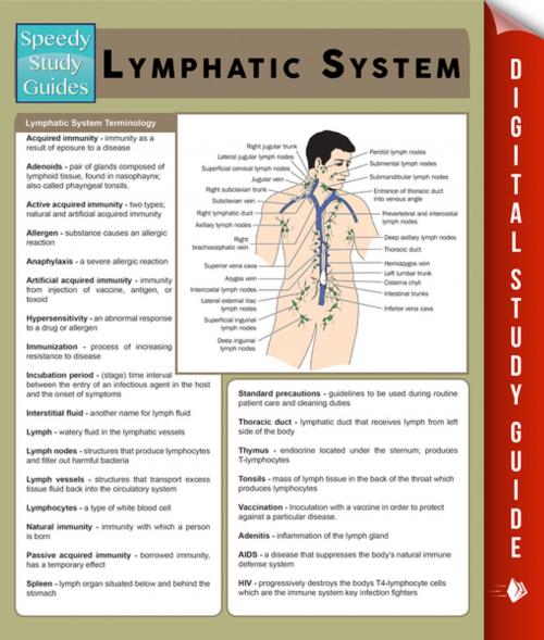 Cover of the book Lymphatic System (Speedy Study Guides) by Speedy Publishing, Speedy Publishing LLC