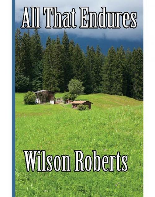 Cover of the book All That Endures by Wilson Roberts, Wilder Publications, Inc.