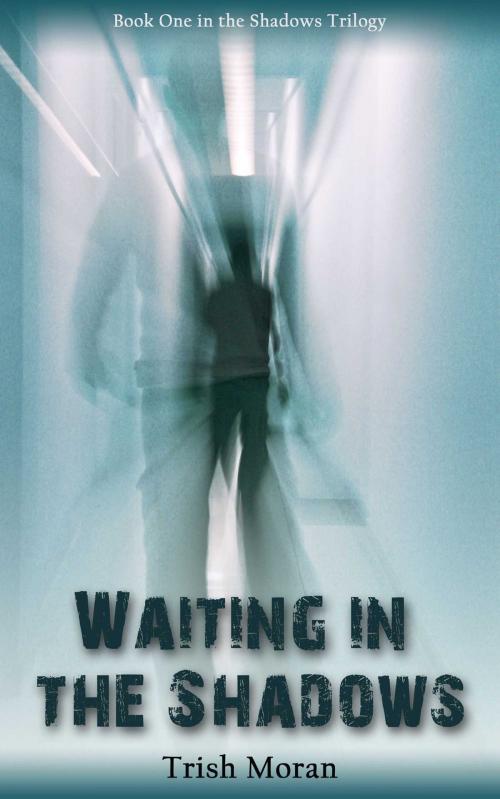 Cover of the book Waiting in the Shadows by Trish Moran, Accent Press