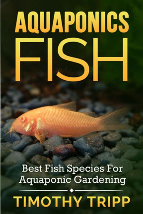 Cover of the book Aquaponics Fish by Timothy Tripp, Speedy Publishing LLC