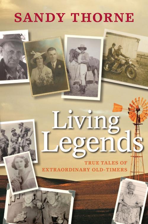 Cover of the book Living Legends: True Tales of Extraordinary Old-Timers by Sandy Thorne, Penguin Random House Australia