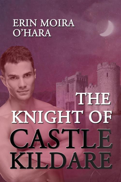 Cover of the book The Knight of Castle Kildare by Erin Moira O'Hara, Penguin Random House Australia