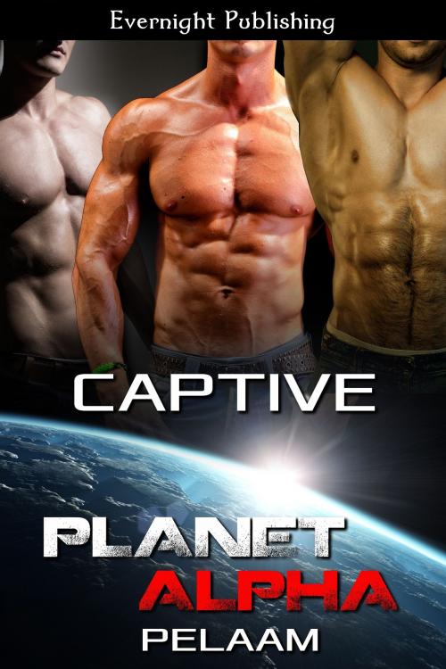 Cover of the book Captive by Pelaam, Evernight Publishing