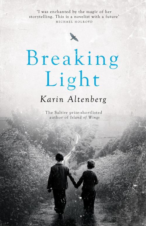 Cover of the book Breaking Light by Karin Altenberg, Quercus Publishing
