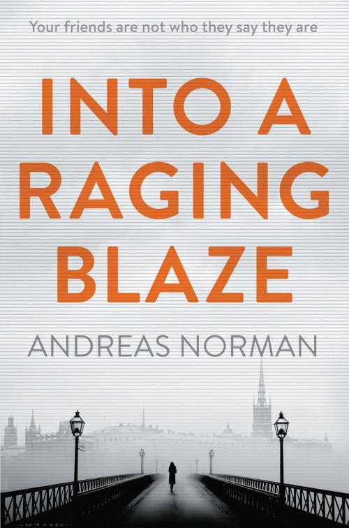 Cover of the book Into a Raging Blaze by Andreas Norman, Quercus Publishing