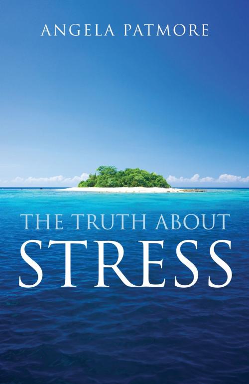 Cover of the book Truth About Stress by Angela Patmore, Atlantic Books