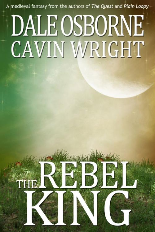 Cover of the book The Rebel King by Dale Osborne, Andrews UK