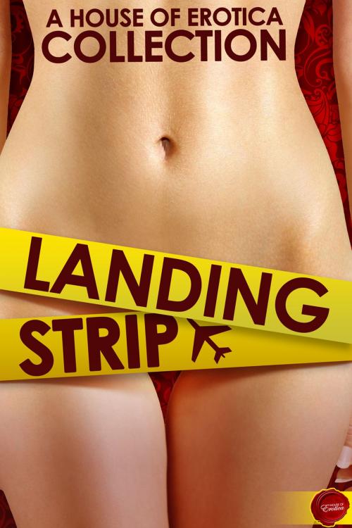 Cover of the book Landing Strip by Erin Pim, Andrews UK