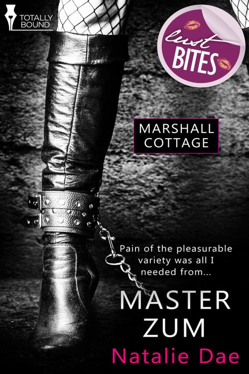 Cover of the book Master Zum by Natalie Dae, Totally Entwined Group Ltd
