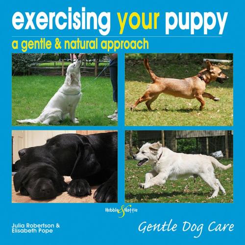 Cover of the book Exercising your puppy: a gentle & natural approach by Julia Robertson, Elisabeth Pope, Veloce Publishing Ltd