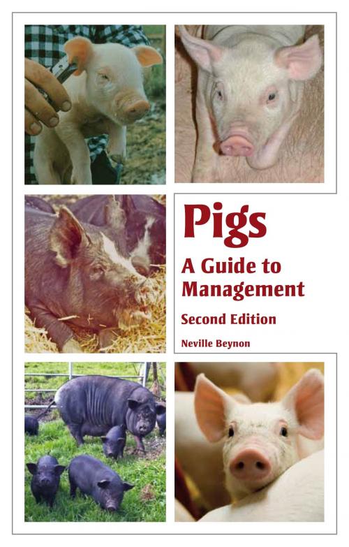 Cover of the book Pigs by Neville Beynon, Crowood