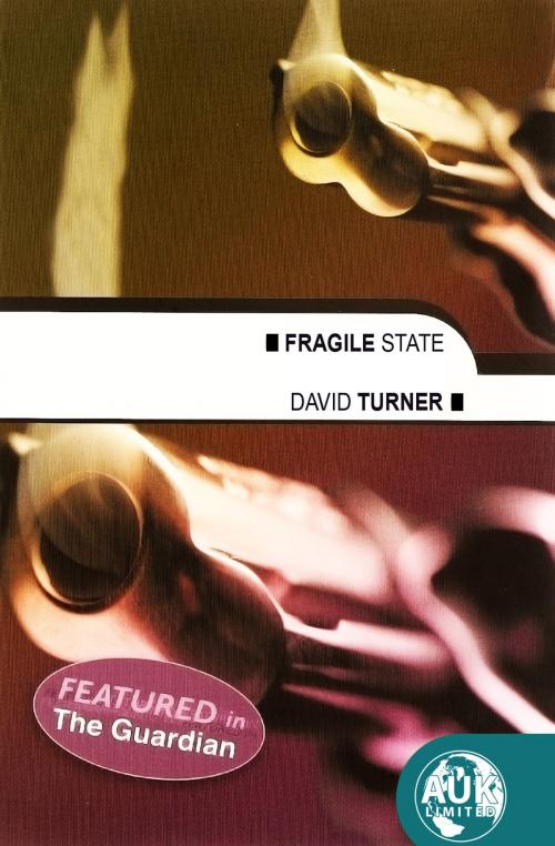 Cover of the book Fragile State by David Turner, Andrews UK