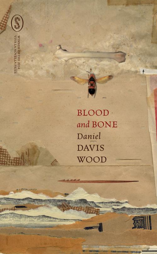 Cover of the book Blood and Bone by Daniel Davis Wood, Xou Creative
